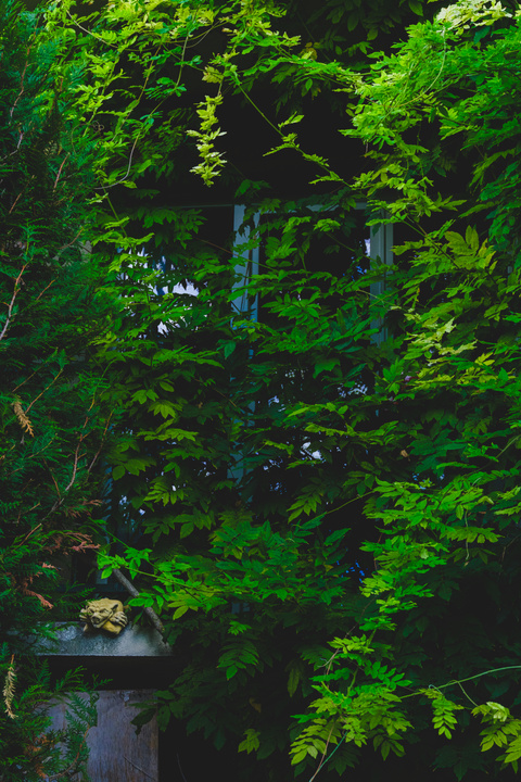 A window hidden behind green leafs. On the bottom left, a gargoyle is laying with arms crossed, smiling. 