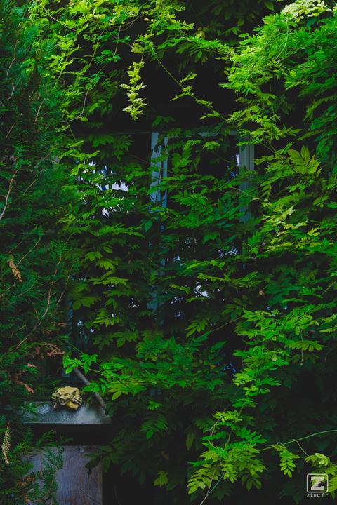 A window hidden behind green leafs. On the bottom left, a gargoyle is laying with arms crossed, smiling. 