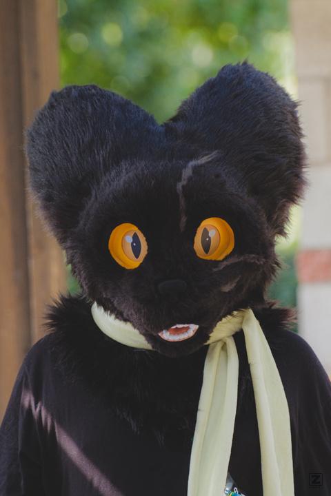 Eurofurence 30 furry convention at Hamburg Germany
