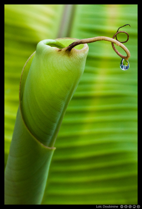 no description
https://www.flickr.com/photos/ztec/9549307716/