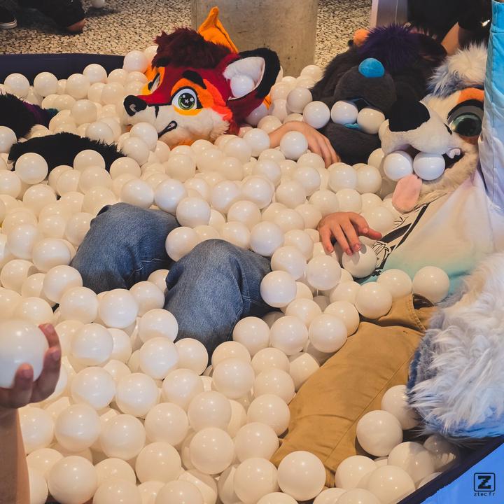 Eurofurence 30 furry convention at Hamburg Germany