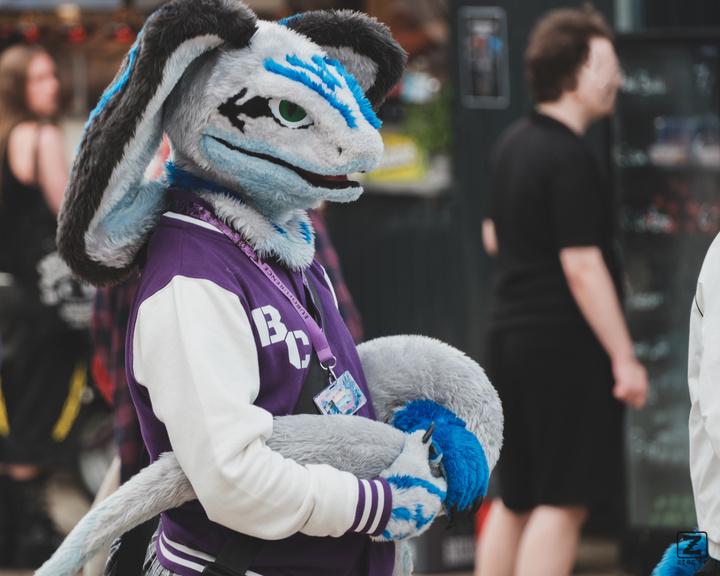 Eurofurence 30 furry convention at Hamburg Germany