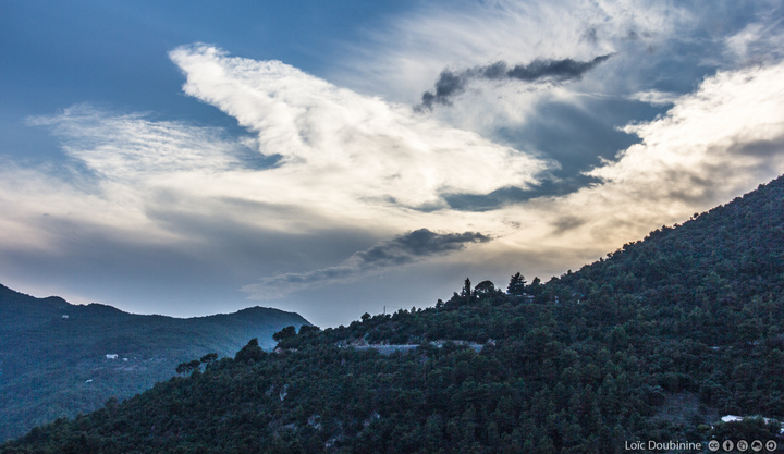 no description
https://www.flickr.com/photos/ztec/9339219838/