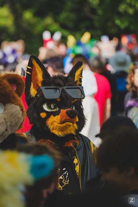 Eurofurence 30 furry convention at Hamburg Germany