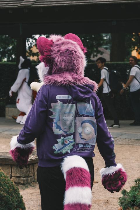 Eurofurence 30 furry convention at Hamburg Germany