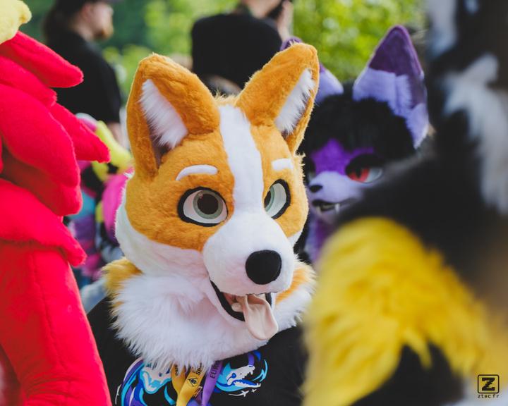 Eurofurence 30 furry convention at Hamburg Germany