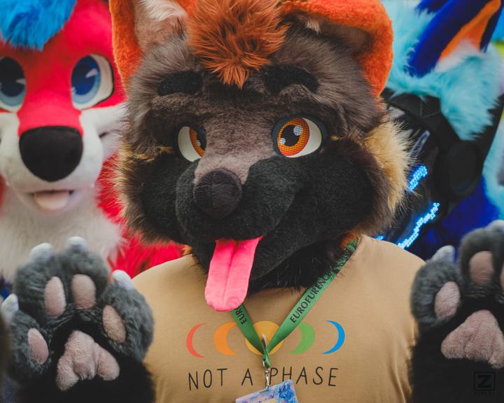 Eurofurence 30 furry convention at Hamburg Germany