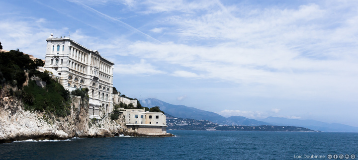 Le Musée océanographique de Monaco est un musée de la mer fondé en 1889 par le prince Albert Ier de Monaco et inauguré en 1910, basé sur le rocher de Monaco sur la Côte d'Azur. Il est l'un des bâtiments les plus imposants du rocher avec le palais de Monaco, le seul à être à flanc de falaise et descendre jusqu'à la mer, 85 m plus bas. Aujourd’hui, il est constitué de 90 bassins et sa collection est riche de 350 espèces de poissons, pour plus de 6000 spécimens
Des infos : <a href=http://fr.wikipedia.org/wiki/Mus%C3%A9e_oc%C3%A9anographique_de_Monaco rel=nofollow>fr.wikipedia.org/wiki/Mus%C3%A9e_oc%C3%A9anographique_de_...</a>
https://www.flickr.com/photos/ztec/8637747125/
Albums: Nature, Architecture