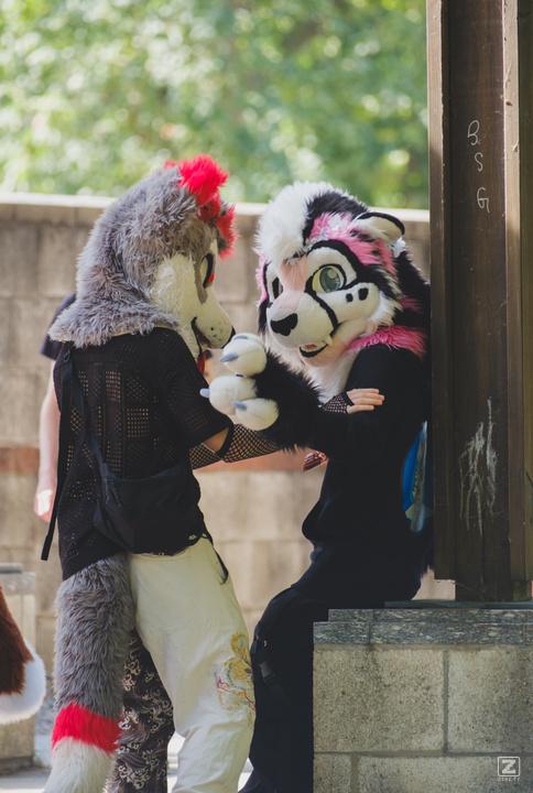 Eurofurence 30 furry convention at Hamburg Germany
