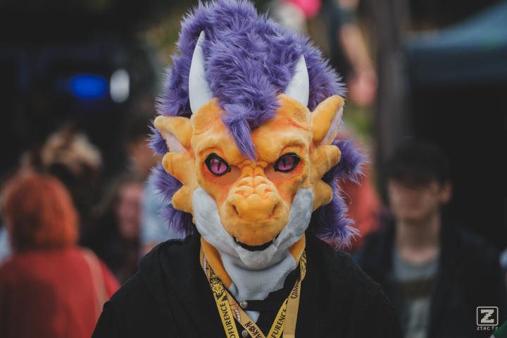 Eurofurence 30 furry convention at Hamburg Germany