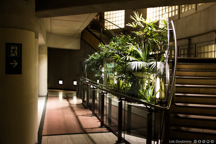 Oasis is good enough to be placed underground in the subway pedestrians tunnels. Feel free to folow the emergency exi to the underground forest !
https://www.flickr.com/photos/ztec/8942658037/
Albums: Nature