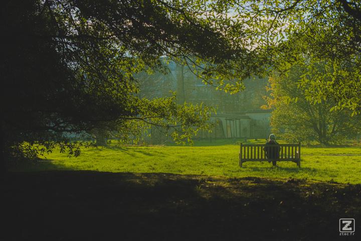 A person on a bench in a green scenery 