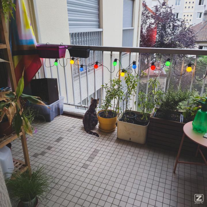 Martine enjoy her new spot on the balcony