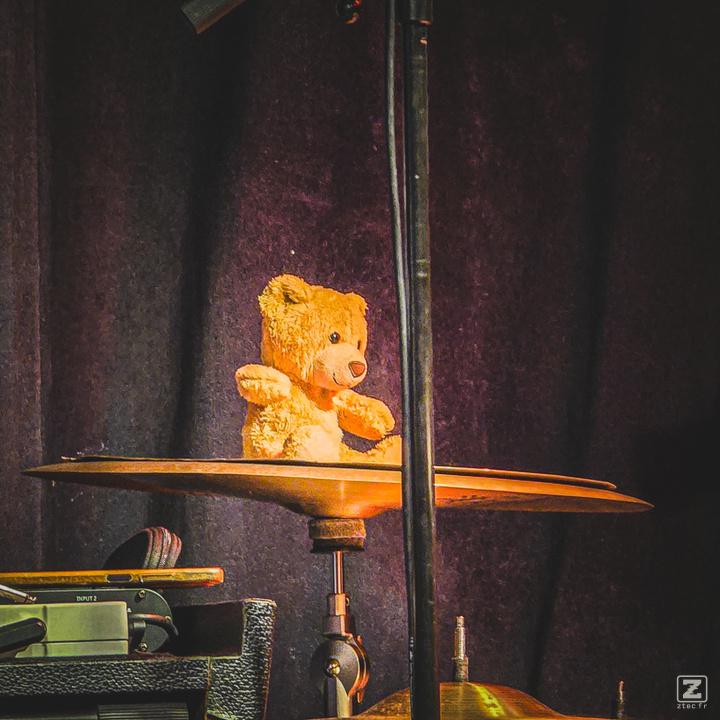 A Teddy bear on a Cymbale