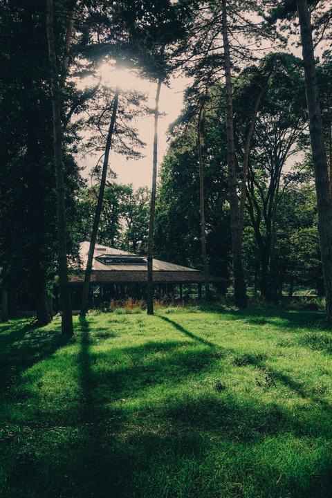 Wooden cabin partially hidden in a forest, surrounded by tall trees, with sunlight filtering through the leaves
https://www.flickr.com/photos/ztec/53919196784/
Albums: www