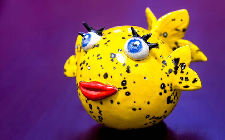 no description
https://www.flickr.com/photos/ztec/30037196676/