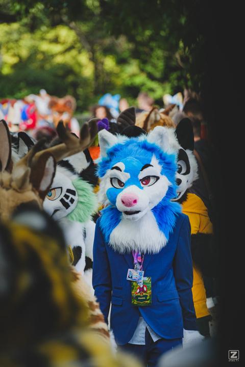 Eurofurence 30 furry convention at Hamburg Germany