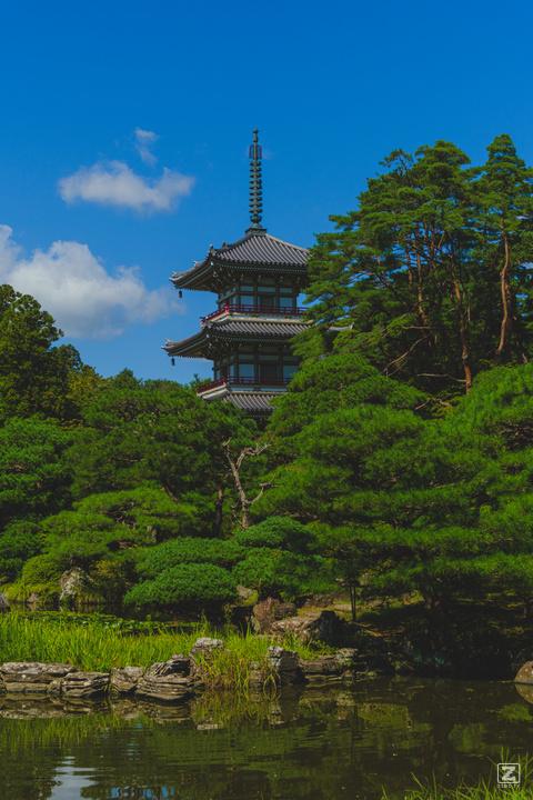 A typical Japanese garden with a tower behind trees in the center.