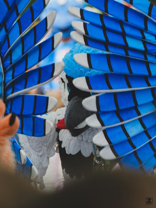 Eurofurence 30 furry convention at Hamburg Germany