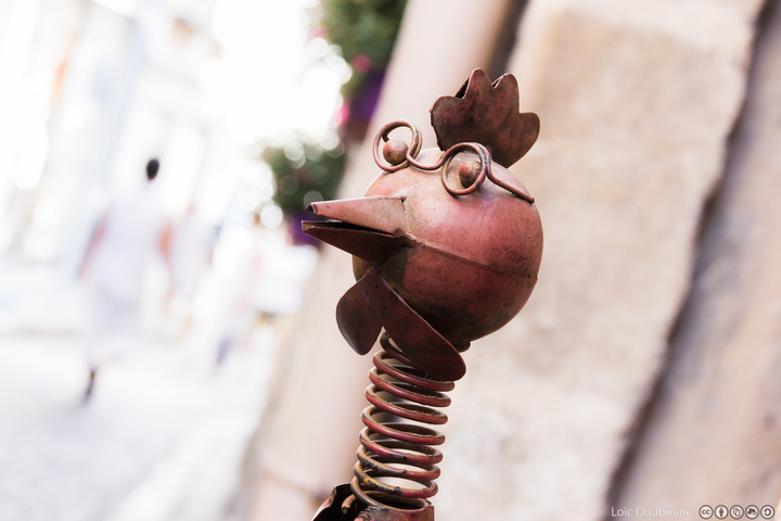 no description
https://www.flickr.com/photos/ztec/9321552621/