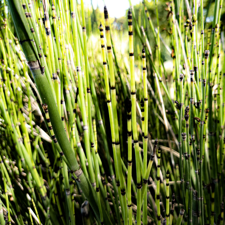 no description
https://www.flickr.com/photos/ztec/52504907754/