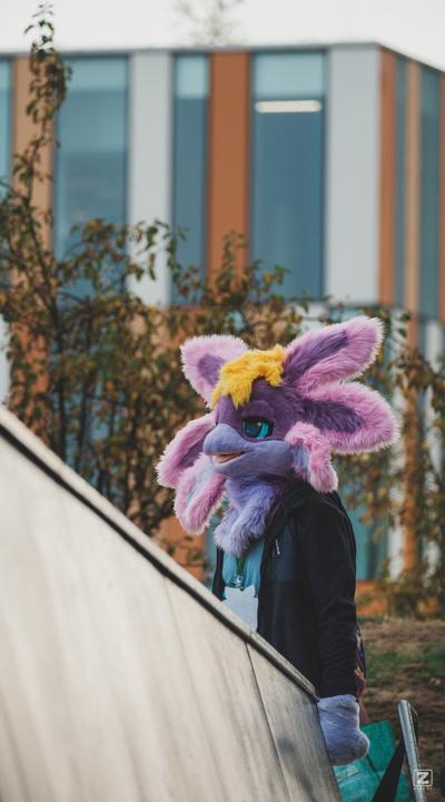 Eurofurence 30 furry convention at Hamburg Germany