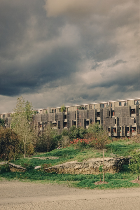Wood building in a park. The picture in in 3 layer. First ground with the park. Second, the building with it's facade in wood. Then the sky, a bit dramatic. 
https://www.flickr.com/photos/ztec/53412369353/