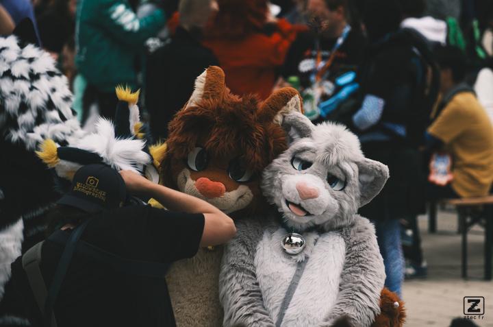 Eurofurence 30 furry convention at Hamburg Germany