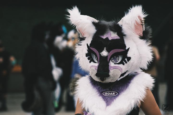 Eurofurence 30 furry convention at Hamburg Germany
