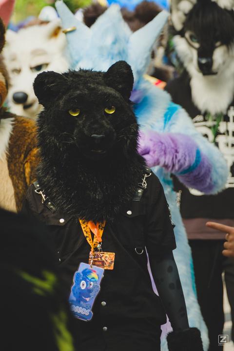 Eurofurence 30 furry convention at Hamburg Germany