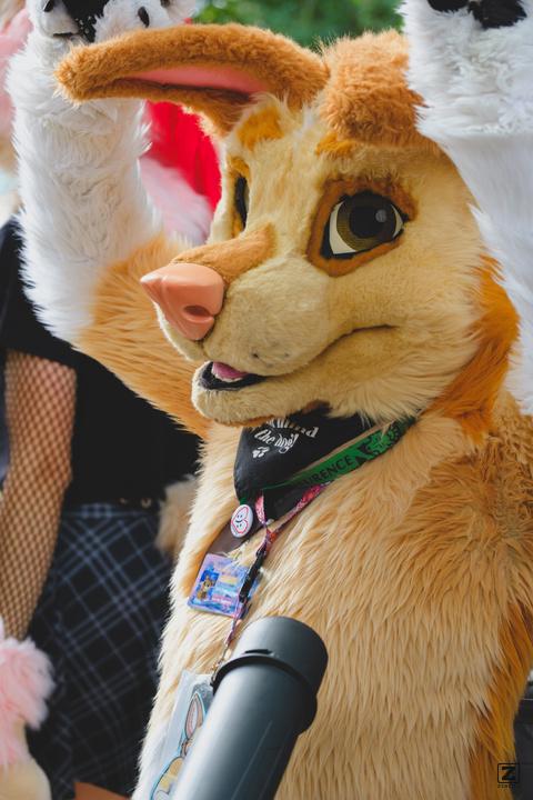 Eurofurence 30 furry convention at Hamburg Germany