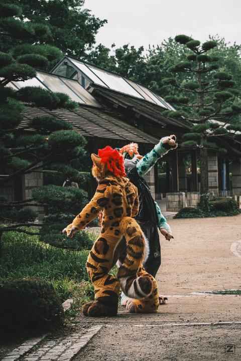 Eurofurence 30 furry convention at Hamburg Germany