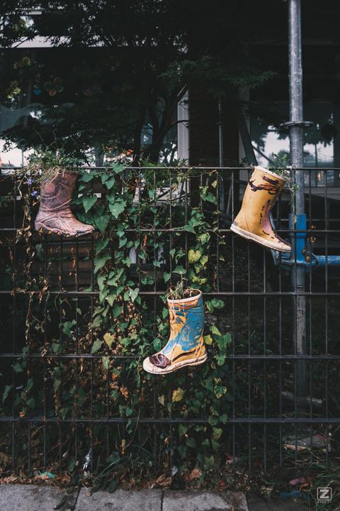 Three boots hanged on a fence as flower pots.