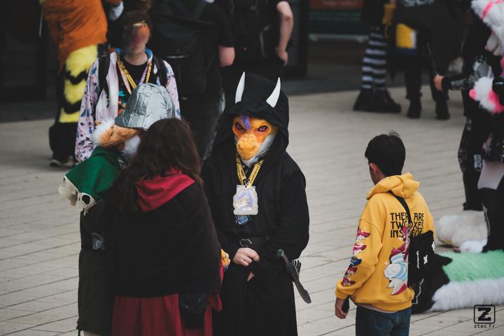 Eurofurence 30 furry convention at Hamburg Germany