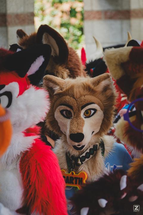 Eurofurence 30 furry convention at Hamburg Germany