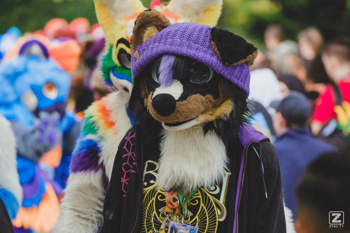 Eurofurence 30 furry convention at Hamburg Germany