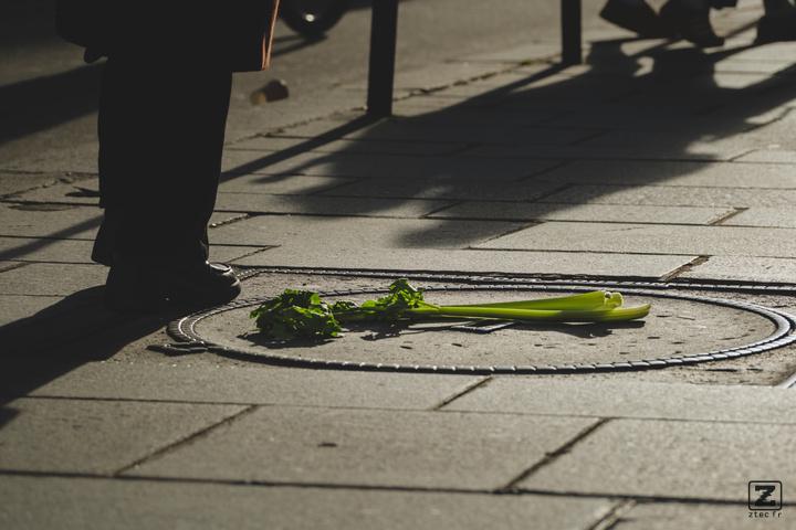 A branch of celery laying on the ground with someone standing next to it.