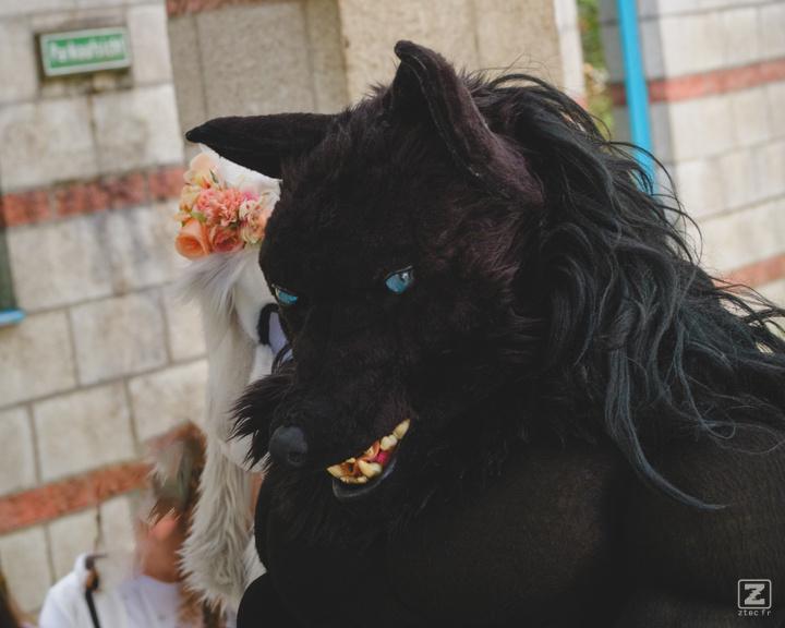 Eurofurence 30 furry convention at Hamburg Germany
