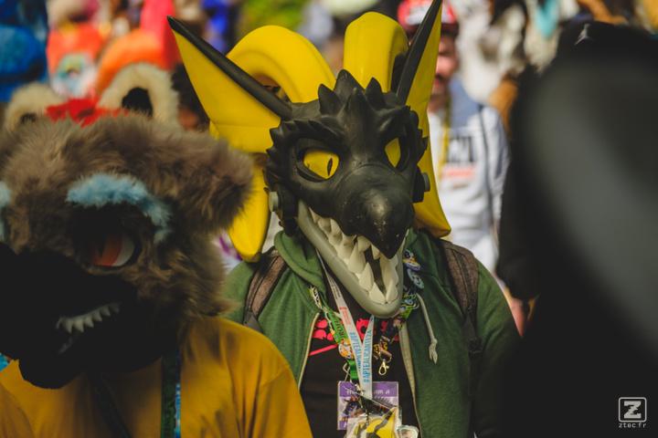 Eurofurence 30 furry convention at Hamburg Germany