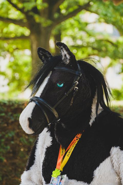 Eurofurence 30 furry convention at Hamburg Germany