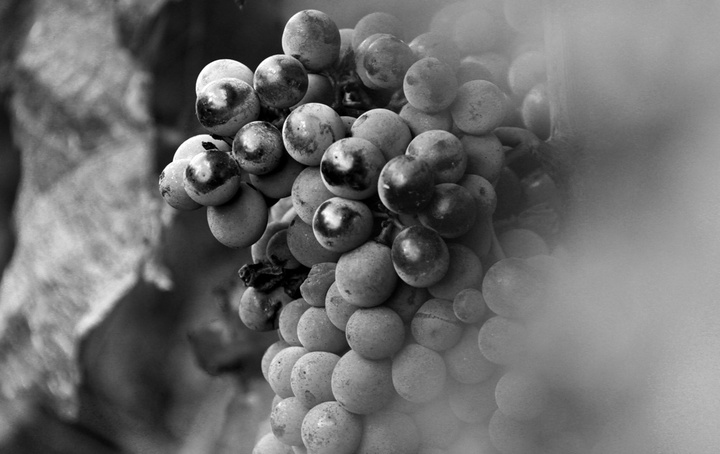 no description
https://www.flickr.com/photos/ztec/8434311982/
Albums: Nature