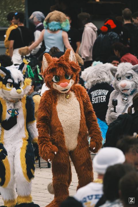 Eurofurence 30 furry convention at Hamburg Germany