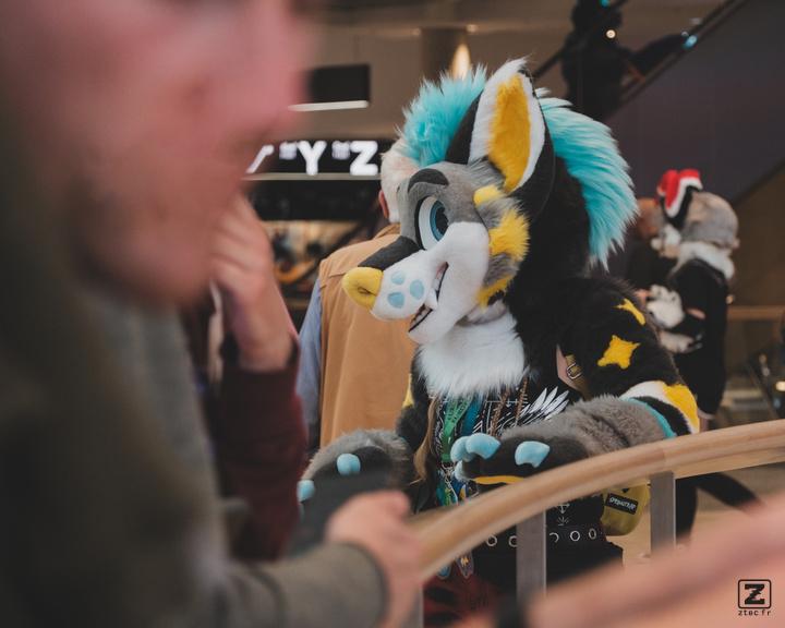 Eurofurence 30 furry convention at Hamburg Germany