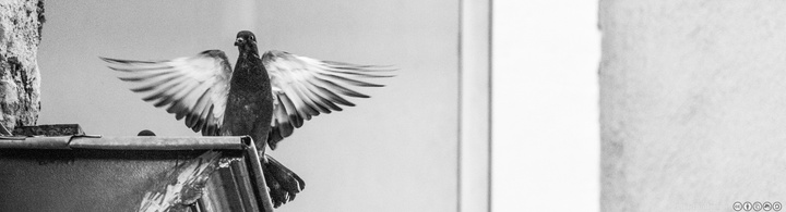 no description
https://www.flickr.com/photos/ztec/9692555175/