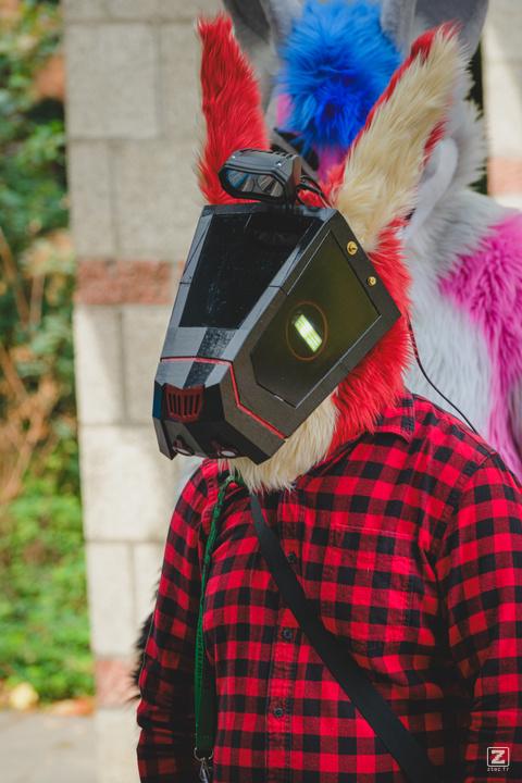Eurofurence 30 furry convention at Hamburg Germany