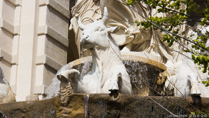 no description
https://www.flickr.com/photos/ztec/8631591873/