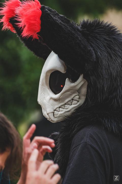 Eurofurence 30 furry convention at Hamburg Germany