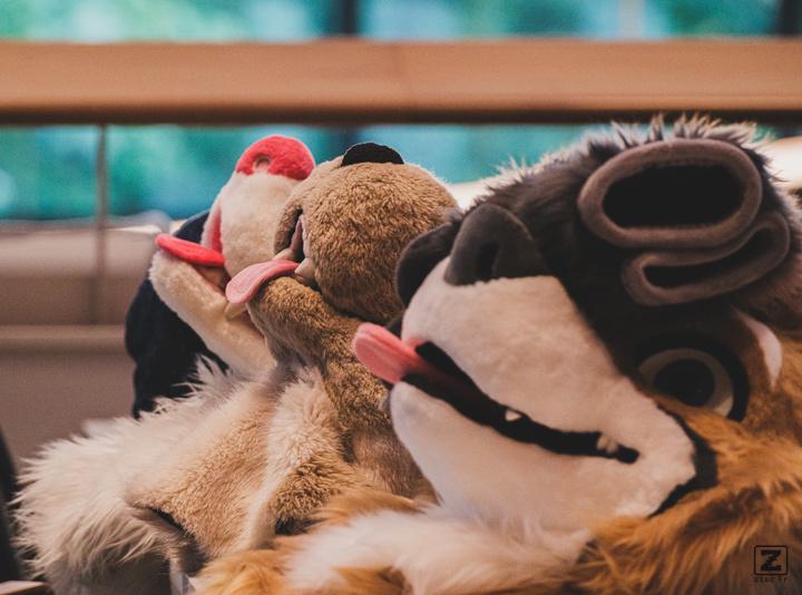 Eurofurence 30 furry convention at Hamburg Germany