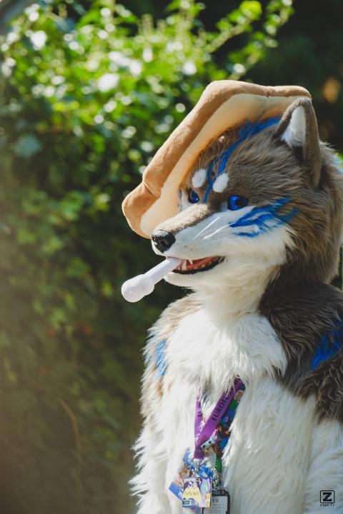 Eurofurence 30 furry convention at Hamburg Germany