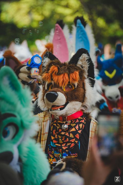 Eurofurence 30 furry convention at Hamburg Germany